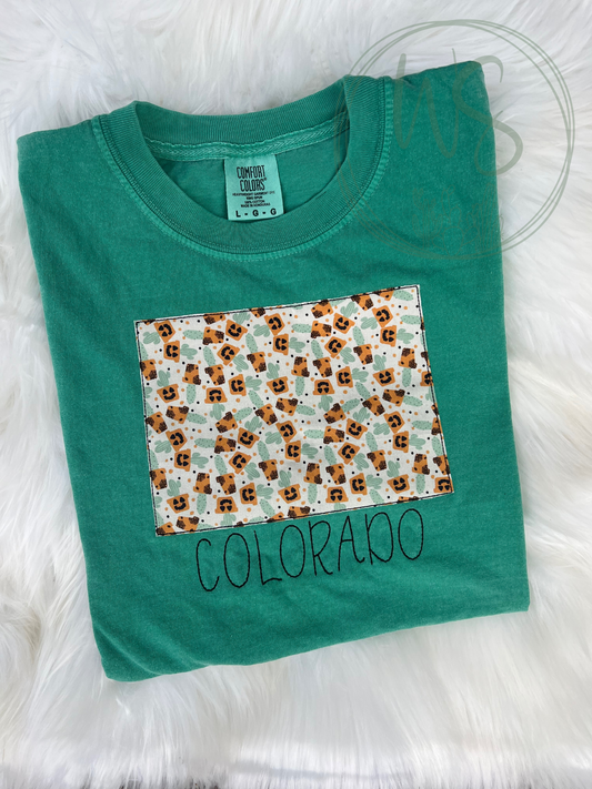 State Outline Pumpkin Cacti Embroidered Shirt